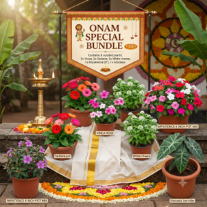 Onam Special Combo Offer @ Rs.333/-