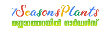 7-Seasons-Plants